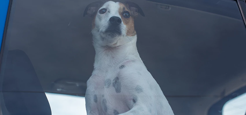 Car Lockout Solutions in Guadalupe, California