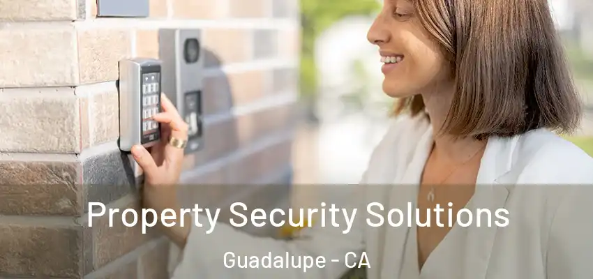  Property Security Solutions Guadalupe - CA